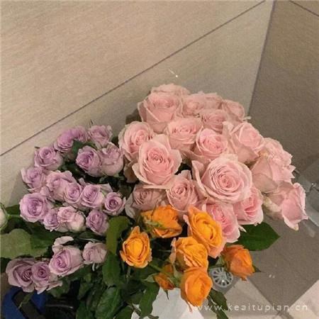 微信背景可爱图片萌清新（超好看的微信状态背景图片）