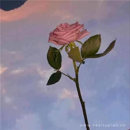 无水印朋友圈背景图_可爱朋友圈配图无水印