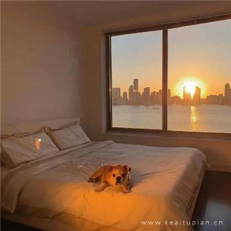 2022都要好好的图片（新年新的背景图2022你好）