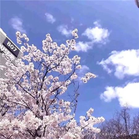 好看的背景图片好看的背景图片大全_好看背景图片简约唯美