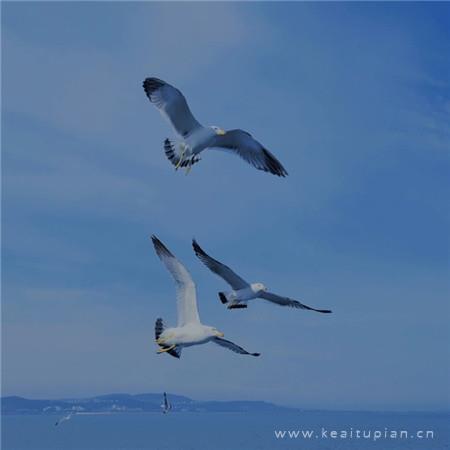 蓝色系小清新唯美背景图片_最漂亮的蓝色唯美图片