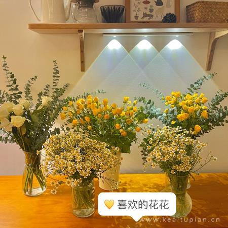 温柔且治愈的背景图片|温暖的图片唯美治愈壁纸