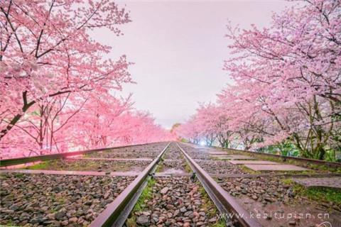 唯美意境壁纸高清图片 2022年最新图片唯美