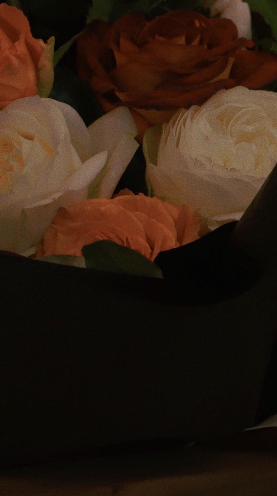 2022手机壁纸精选|黑暗里绚烂唯美的花卉