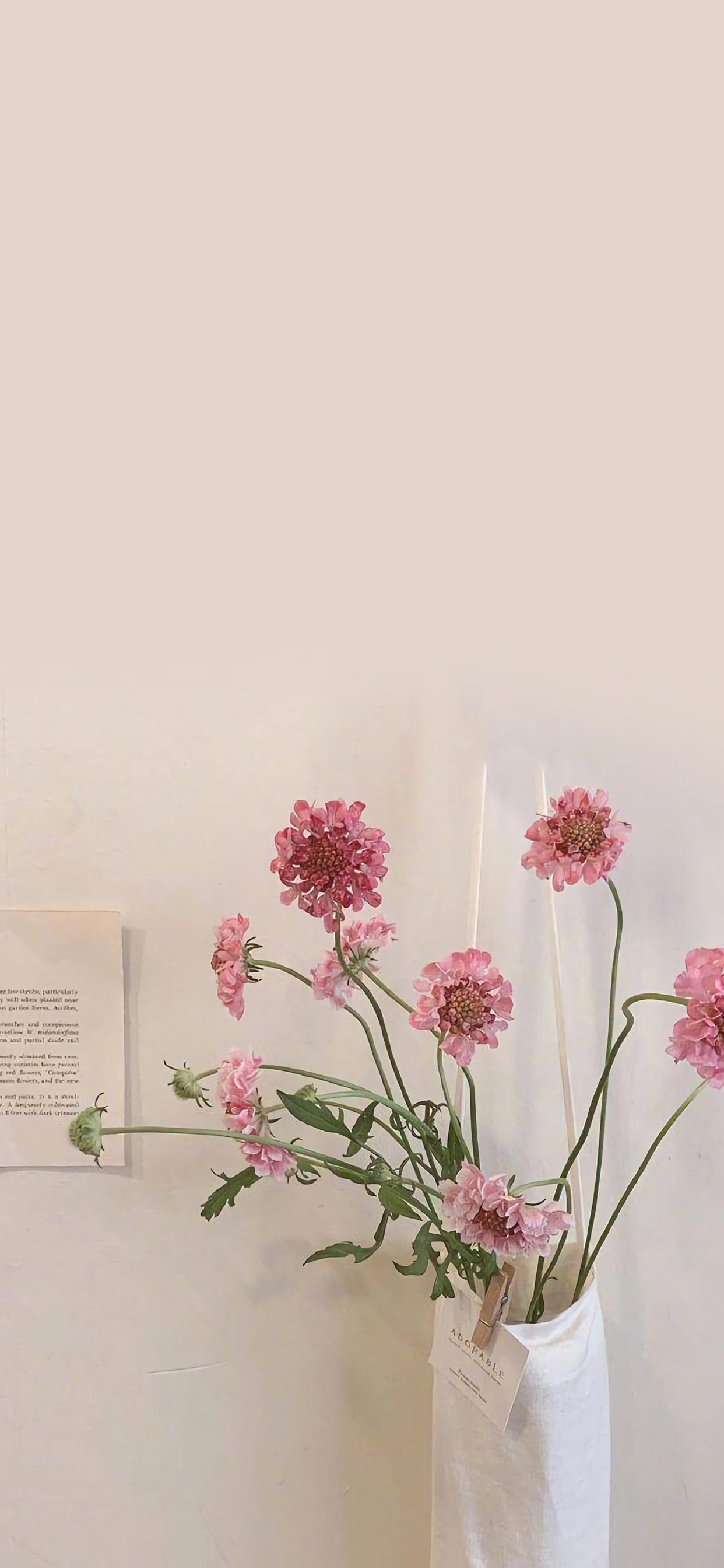 2022唯美手机壁纸图片|给平凡的生活加点花