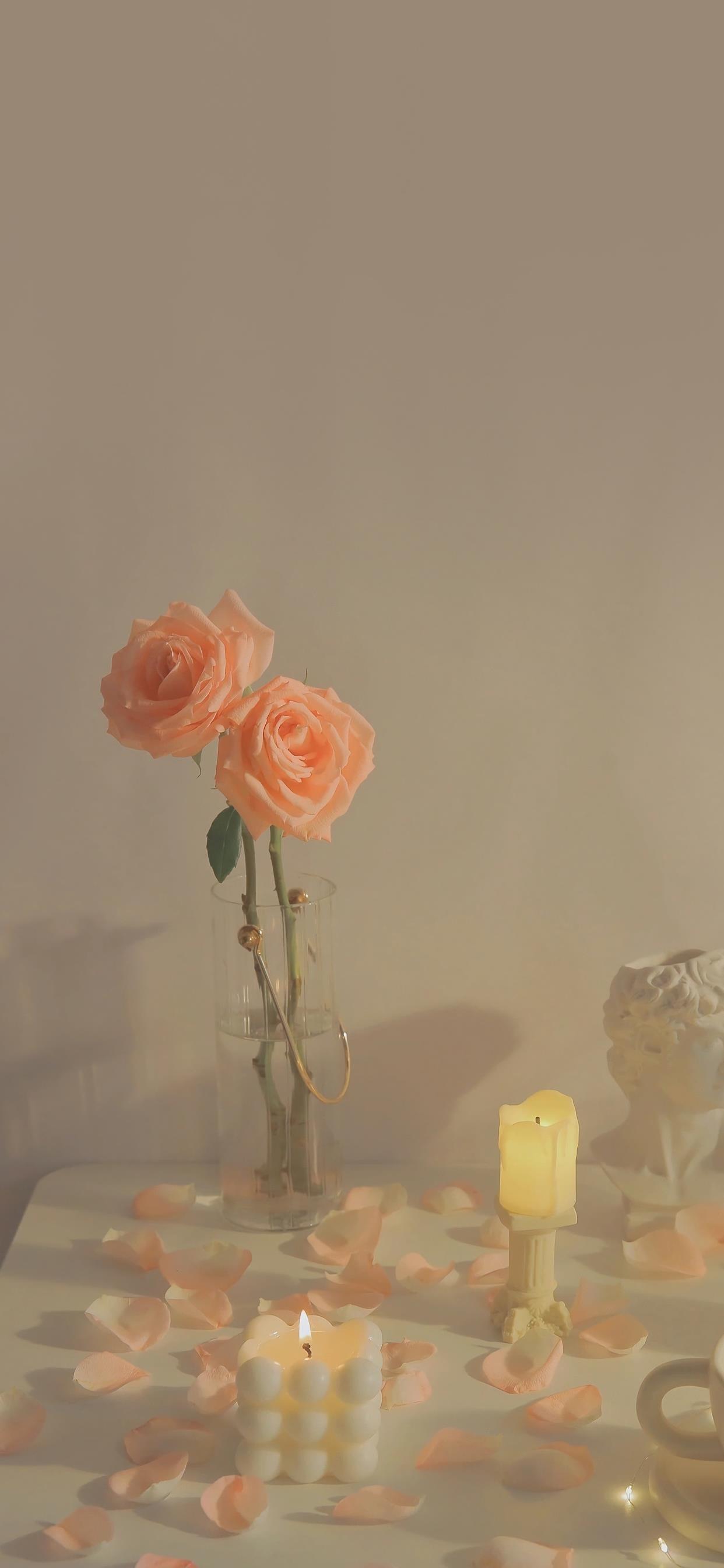 2022唯美手机壁纸图片|给平凡的生活加点花