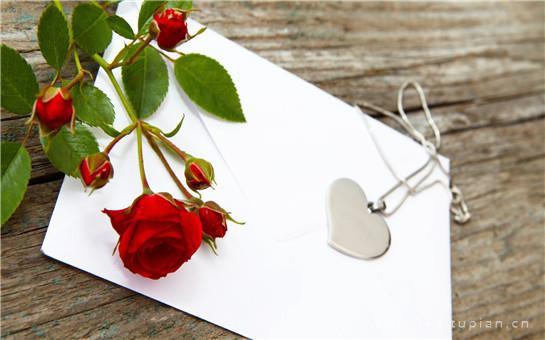 浪漫好看的玫瑰花图片丨人间皆是浪漫