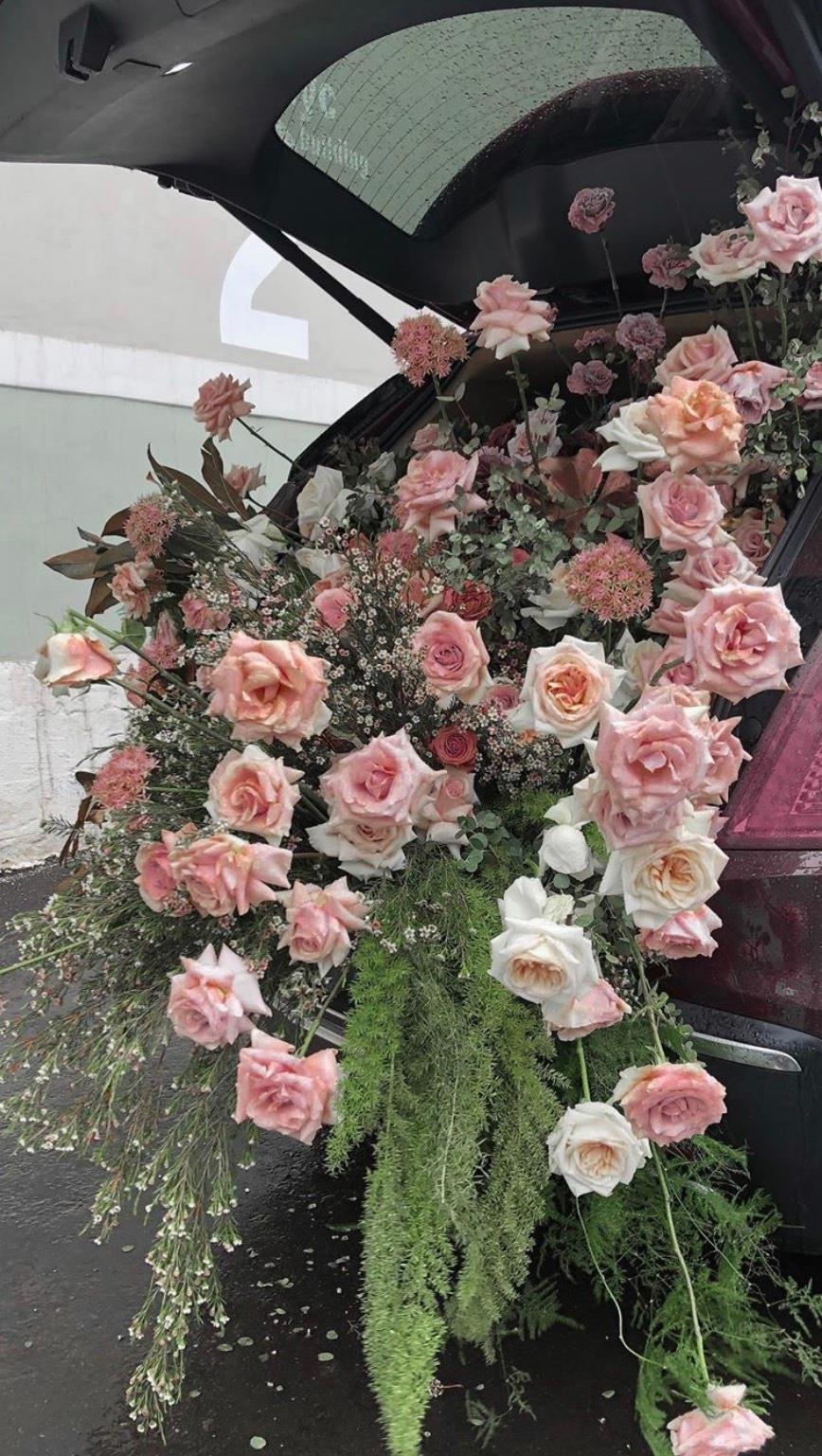 让冬天更浪漫的唯美鲜花壁纸手机图片2022