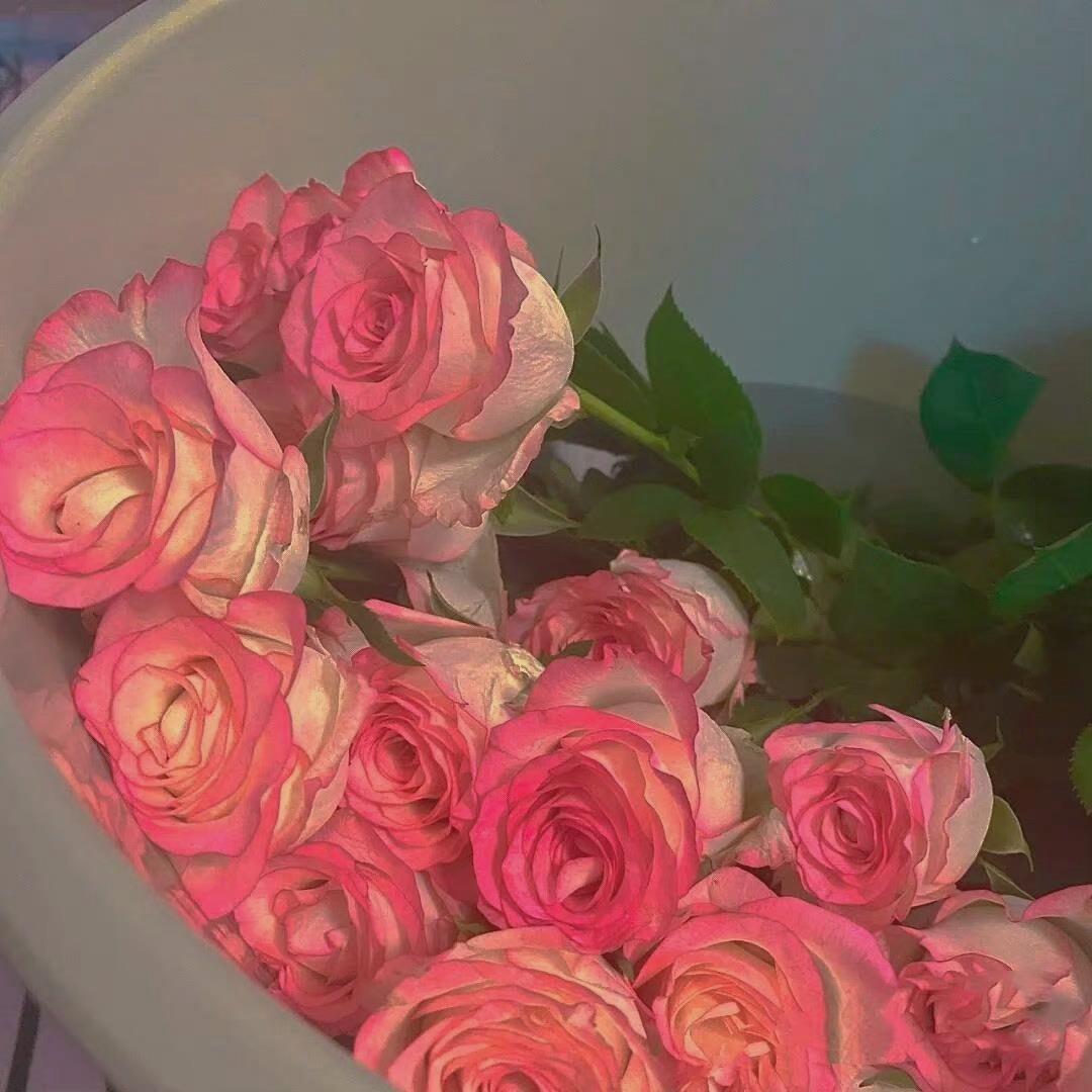 2021最新朋友圈背景精选唯美花卉图片