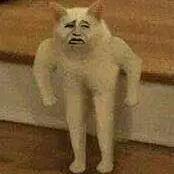 猫咪恶搞表情包 猫咪恶搞表情包暴走