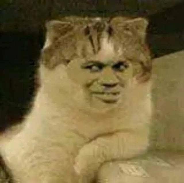 猫咪恶搞表情包 猫咪恶搞表情包暴走