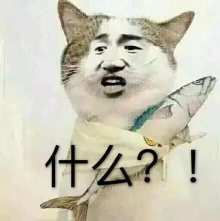 猫咪恶搞表情包 猫咪恶搞表情包暴走