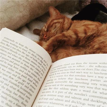 小清新养眼唯美风景背景图片大全