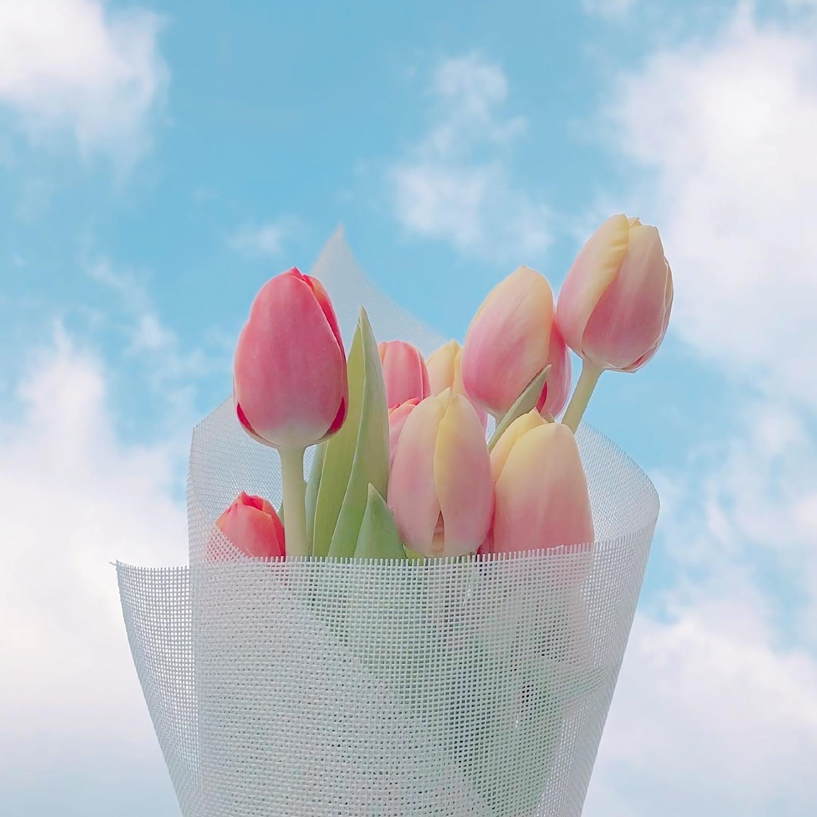 唯美朋友圈背景图片精选|收集生活里好看的景物