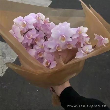 2022年最新温柔唯美的高清图片大全