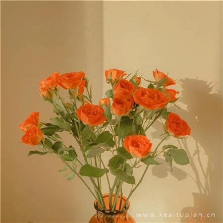 唯美温馨的2022最新背景图片