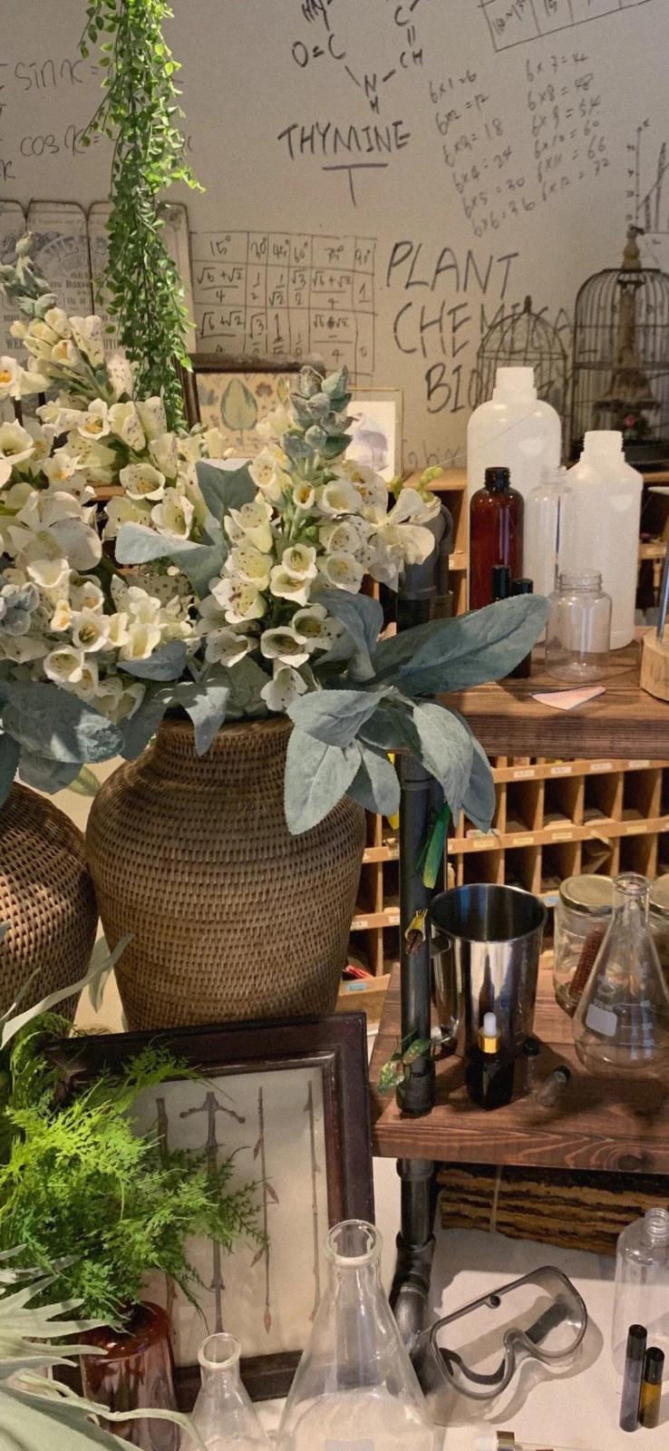 清新好看的白色花卉手机壁纸图片2021