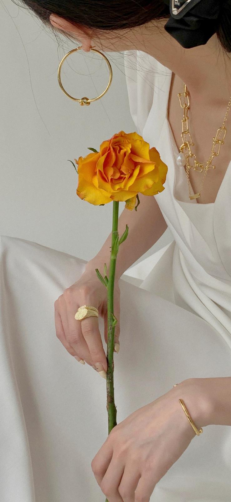 唯美高清的一朵花手机壁纸图片