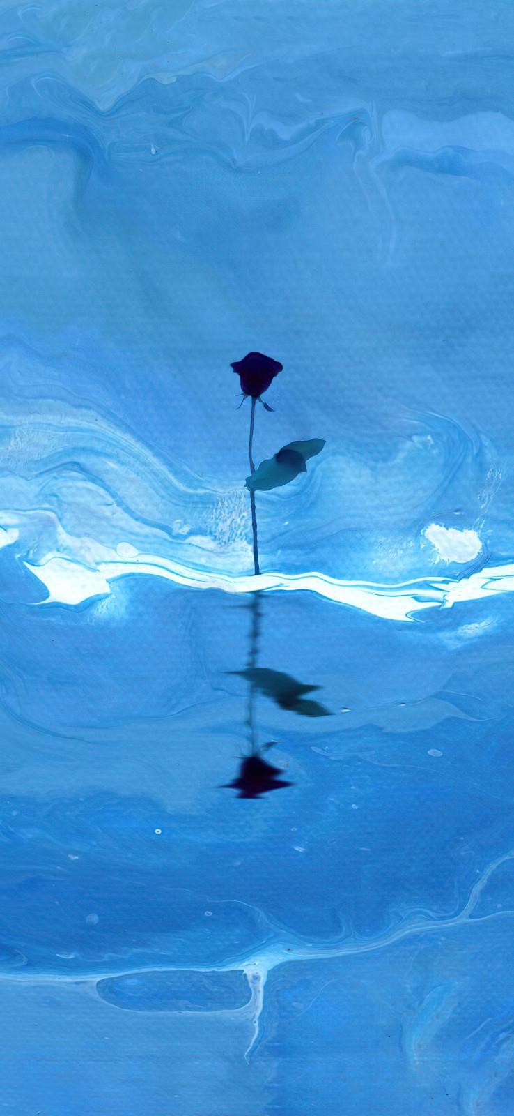 简约有创意的花卉艺术高清手机壁纸图片