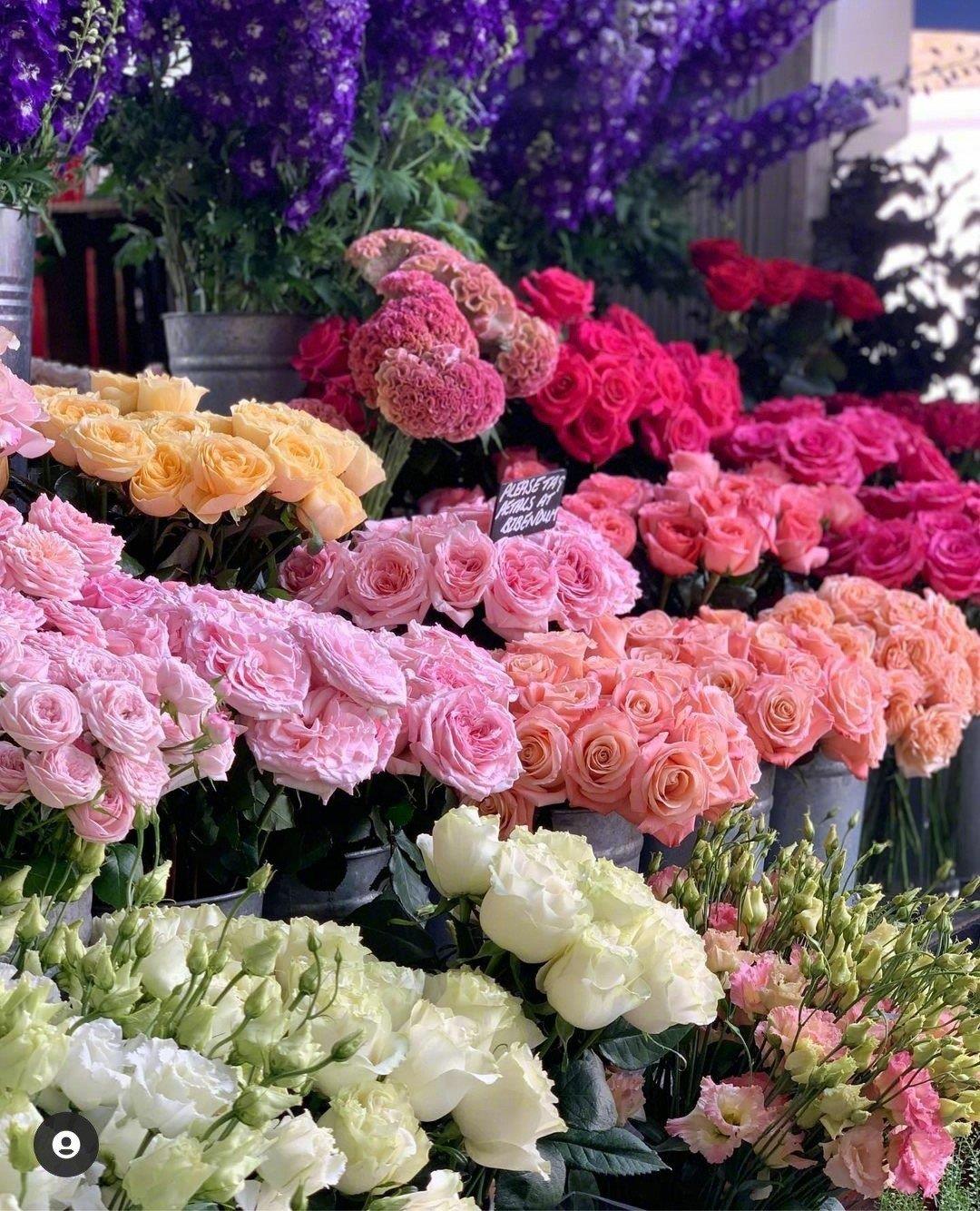 真实的花店图片花团锦簇唯美好看