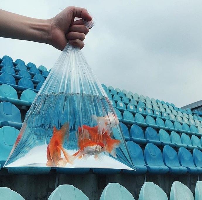 唯美少女心风格微信朋友圈背景图片