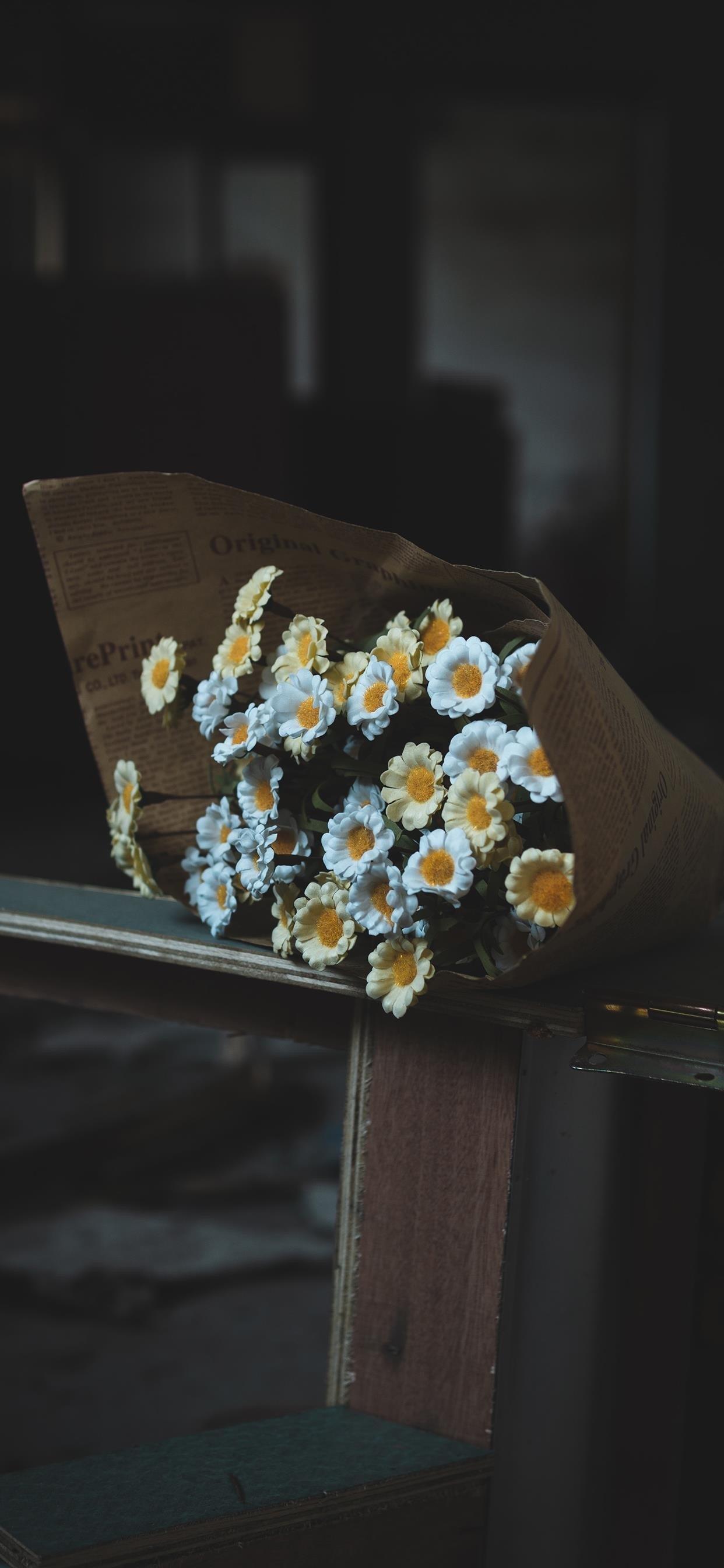 ins清新系花卉代表小雏菊高清手机壁纸图片