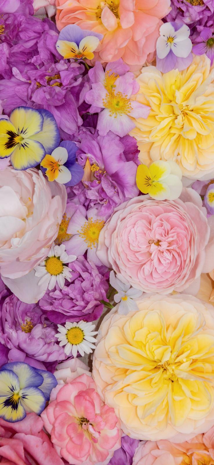 花团锦簇唯美好看的高清花卉手机壁纸图片