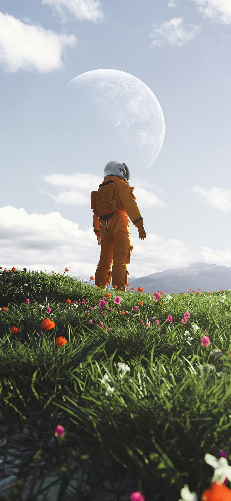唯美意境手机壁纸图片|宇航员的浪漫从一朵花开始