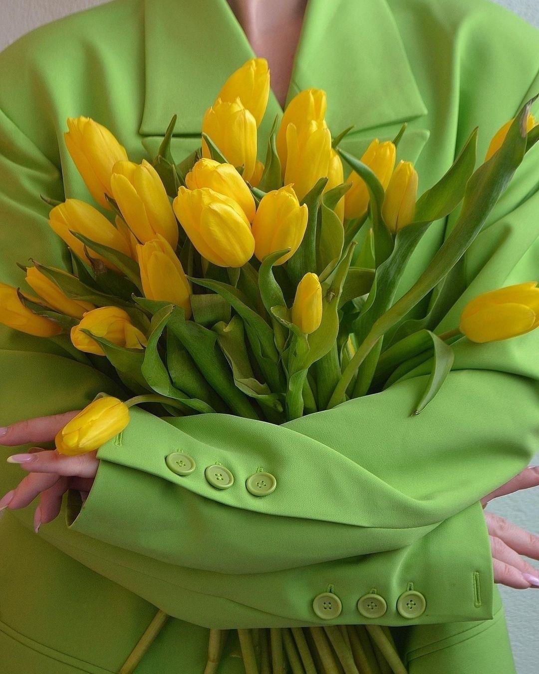 简单干净好看的微信头像|送你一束郁金香