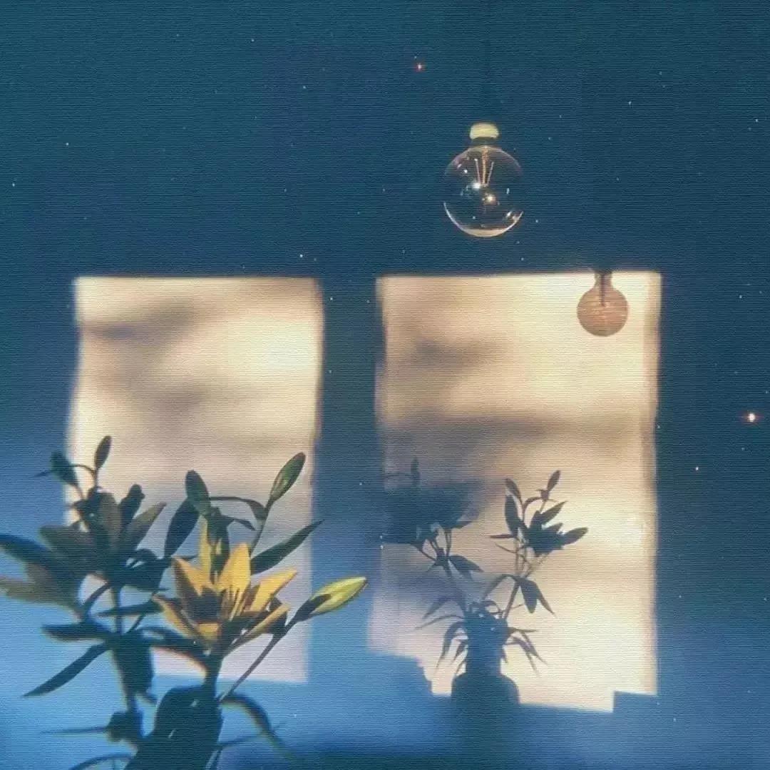 简单干净好看头像|中意一朵花，不必将它摘下