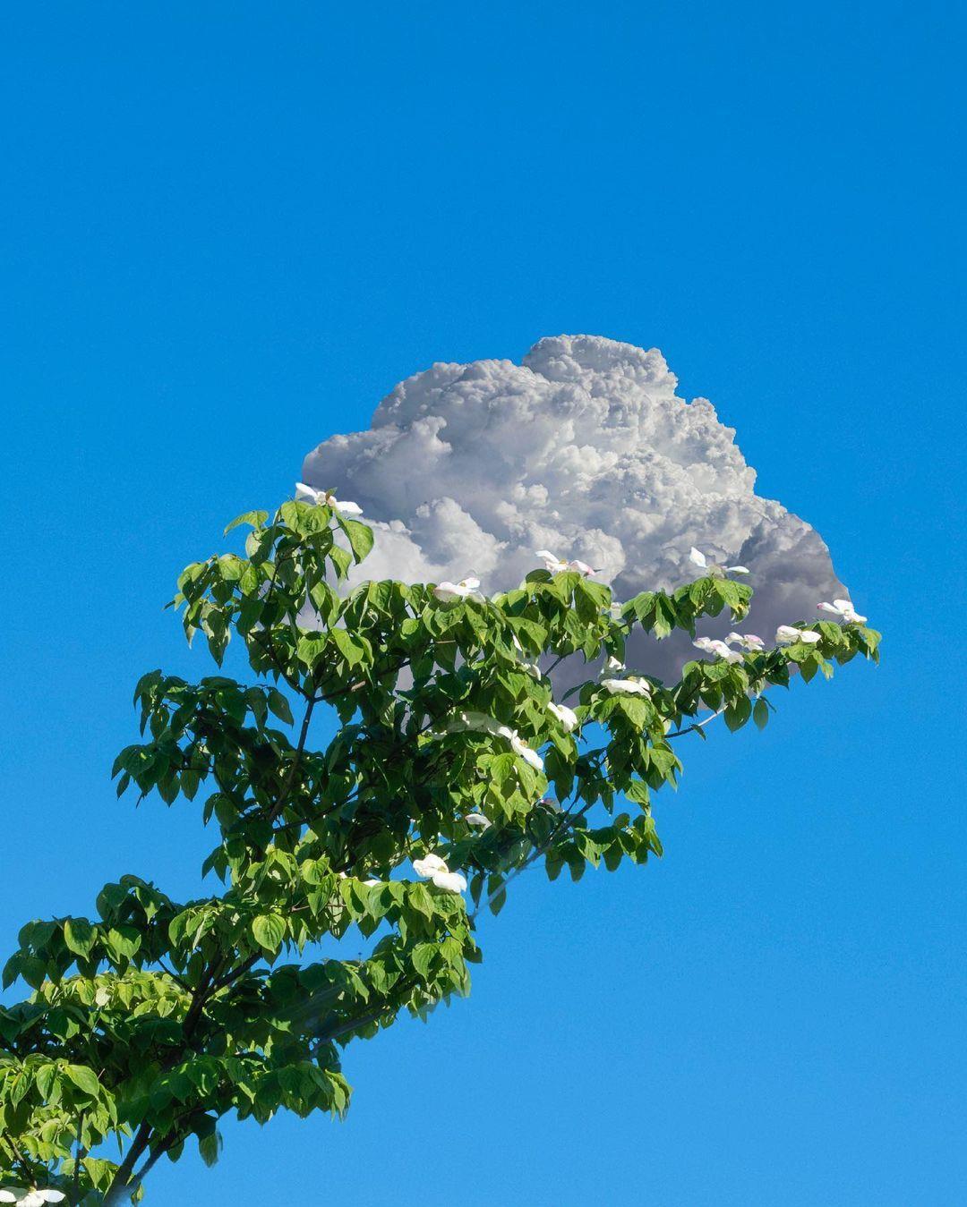 清新简约的唯美意境风景手机壁纸图片2021