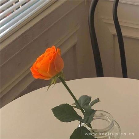 看起来很高级的朋友圈唯美背景图片