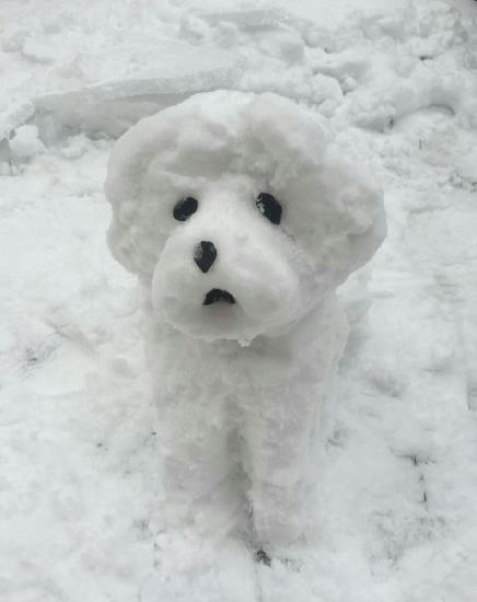 搞笑的雪人造型唯美图片大全