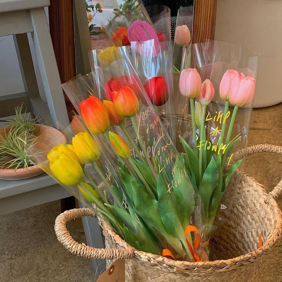 清新ins风的各色郁金香图片背景壁纸