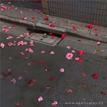 唯美有意境的个性背景图片