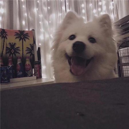 唯美好看的微信热门背景图片大全