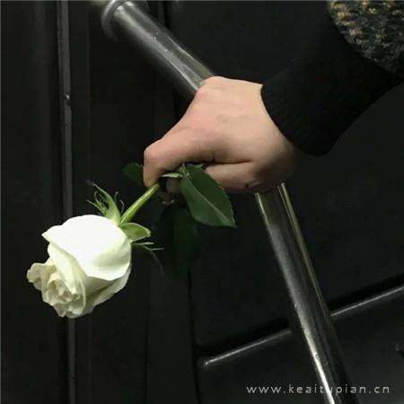 微信小清新唯美风景朋友圈壁纸图片