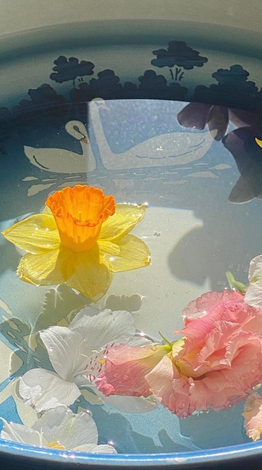 唯美浪漫的水中花图片手机壁纸