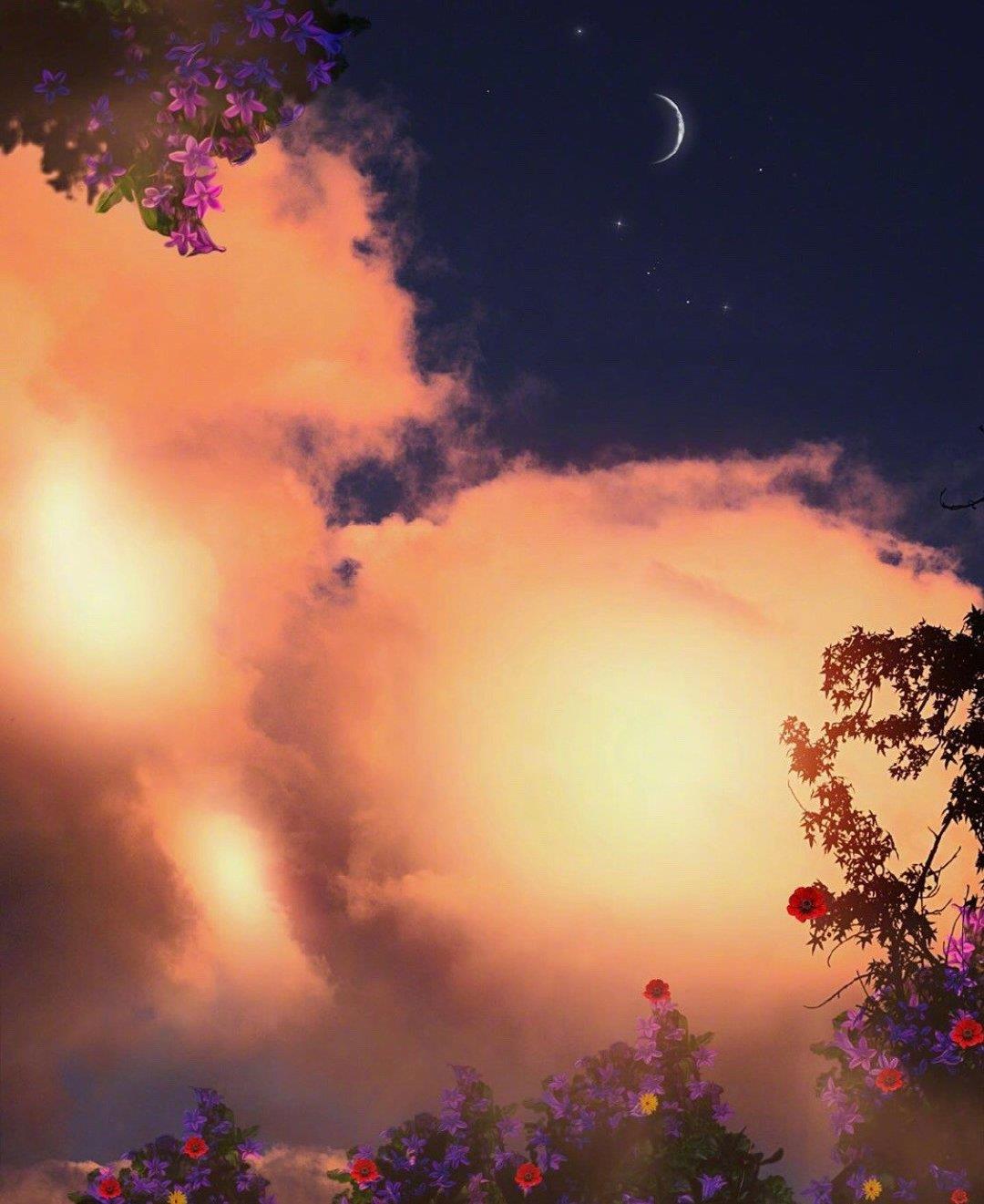 好看的唯美意境背景图片|向山向海都是风景