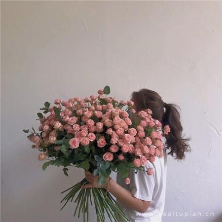 超浪漫的玫瑰花束唯美背景壁纸图片