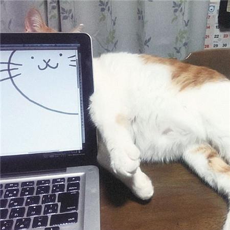 可爱的微笑系列微信唯美图片