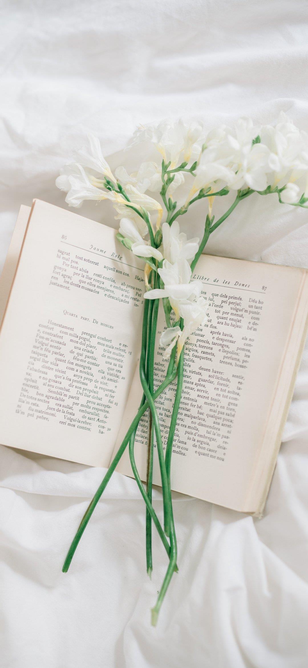 超好看的背景图片壁纸|如花在野，温柔热烈