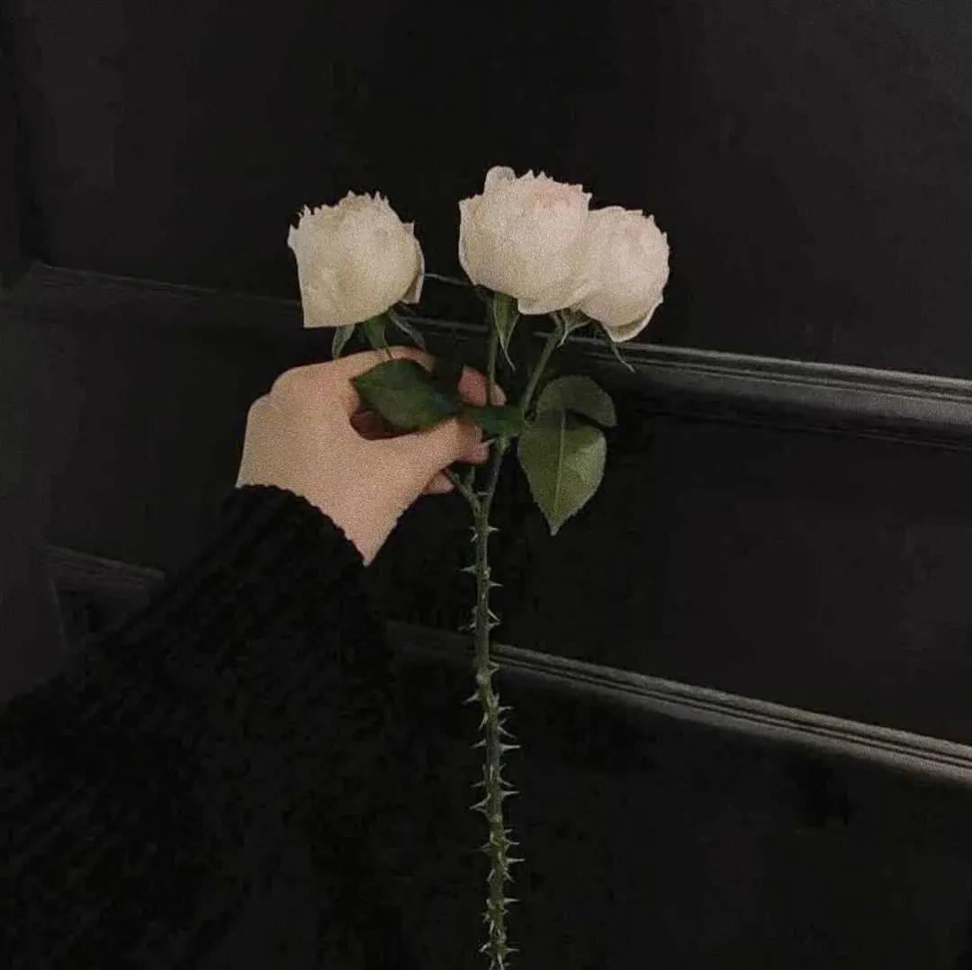 好看的花图片背景|野蛮生长热烈绽放