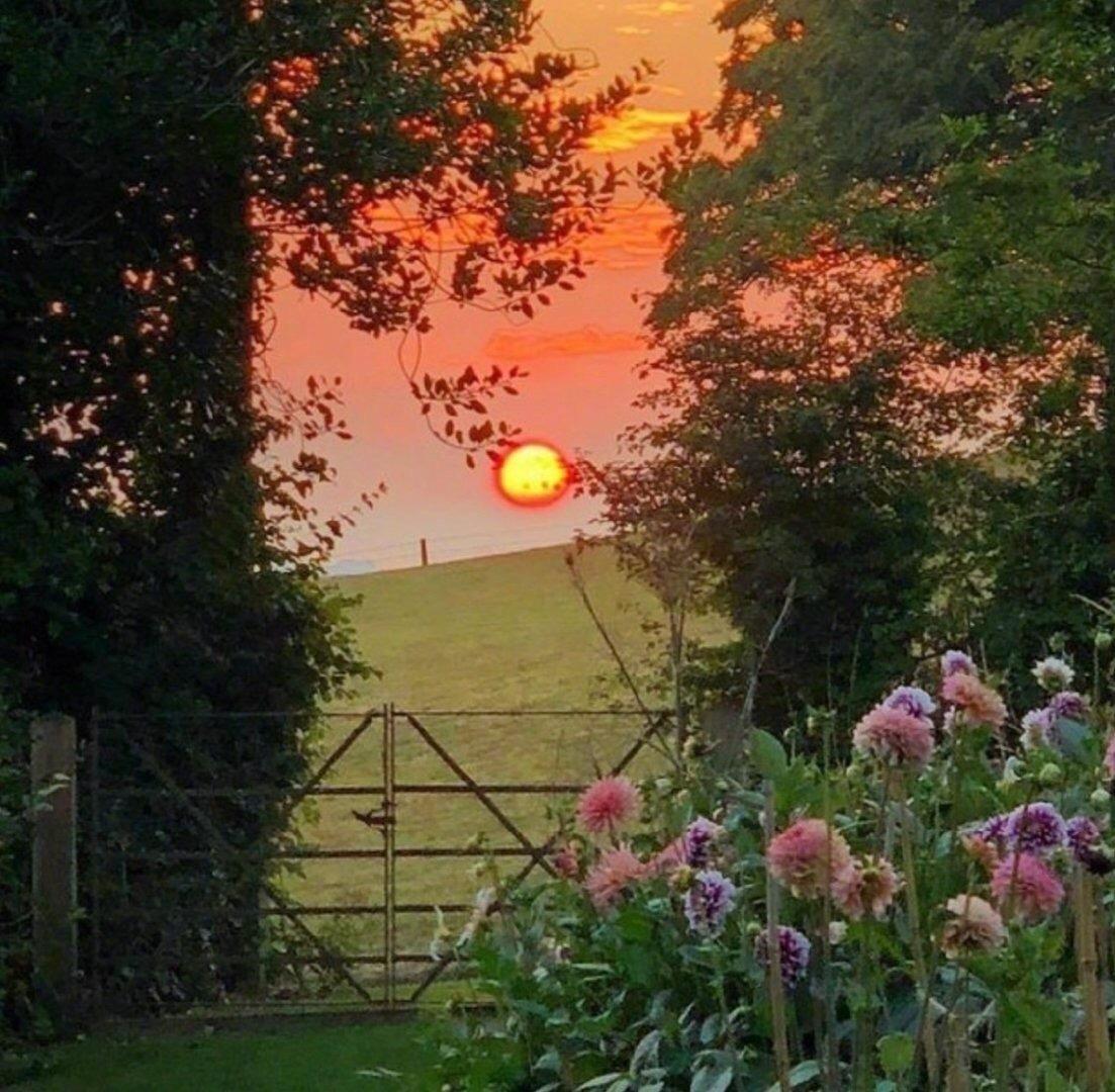 朋友圈背景图片唯美|生活匆忙也别错过日落和夕阳