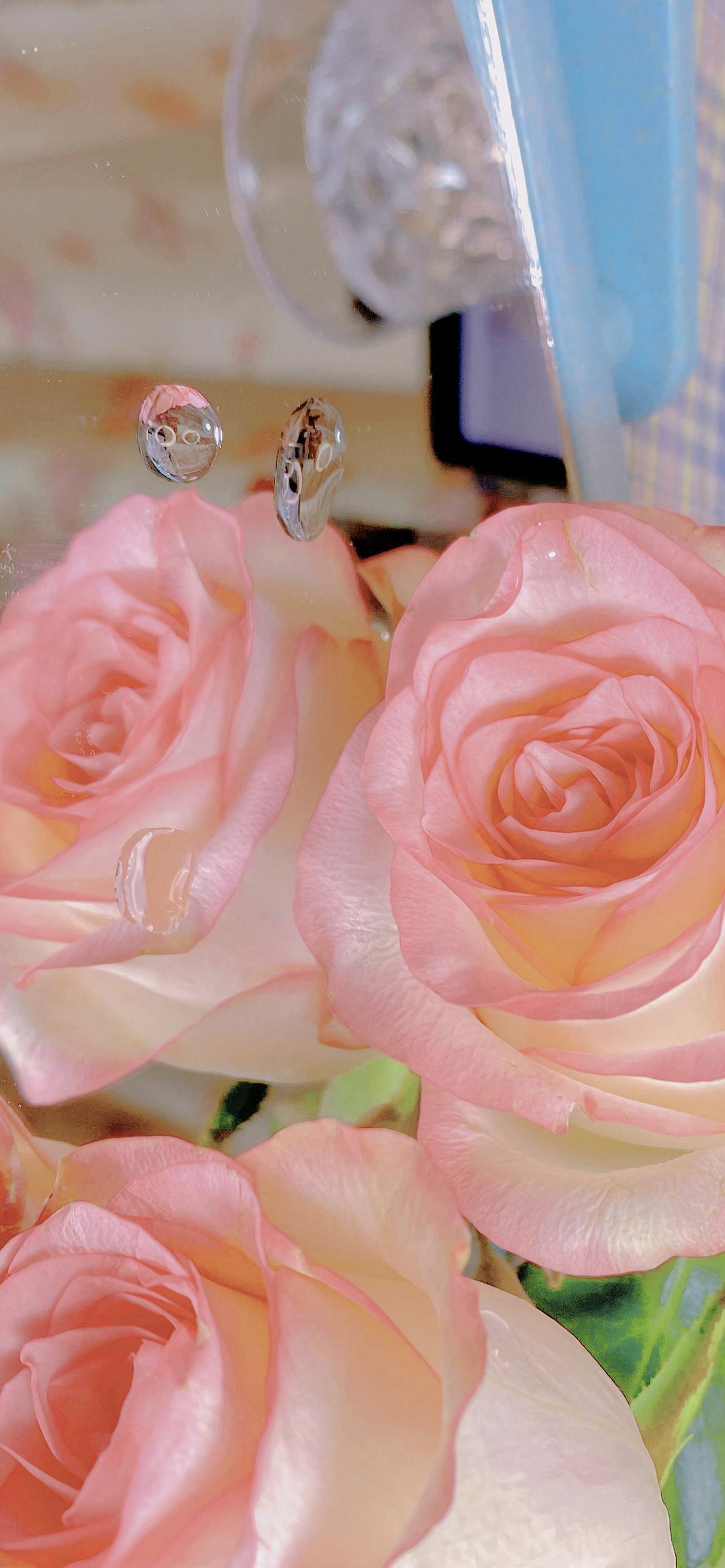 好看的壁纸图片|唯美好看的粉色花卉