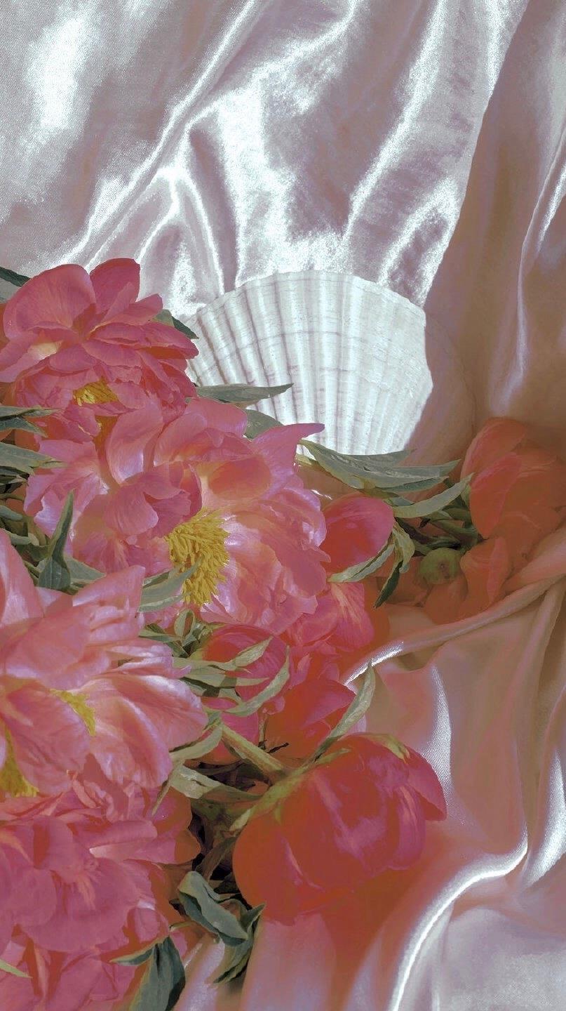 唯美好看的聊天背景图片|生活要有点花的点缀