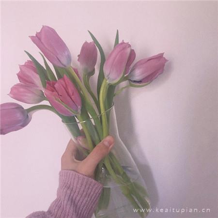 清新高雅好看的紫色背景图片|见你所见爱你所爱