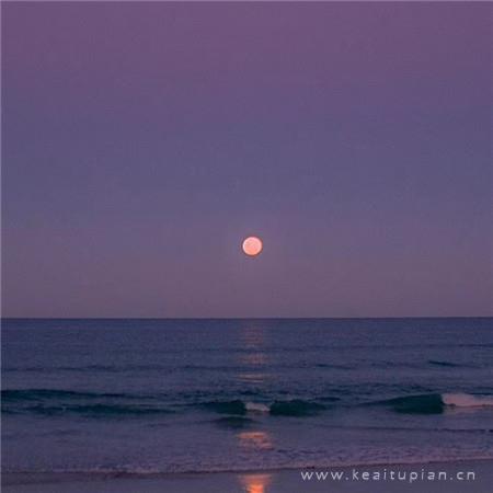 清新高雅好看的紫色背景图片|见你所见爱你所爱