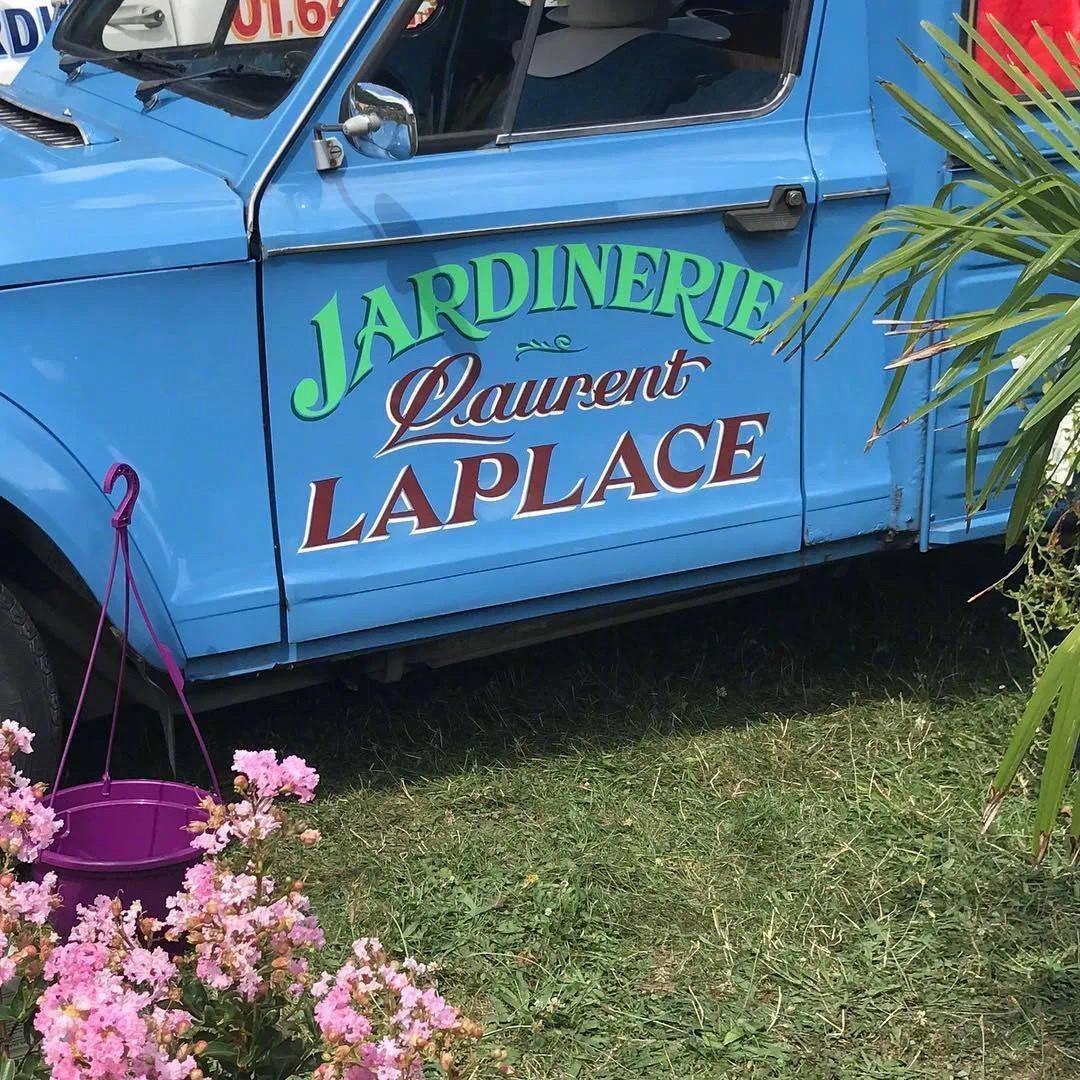 花的图片唯美有意境|第一眼就吸引人