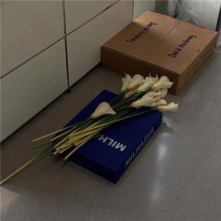 ins简约风的朋友圈背景图片，干净又好看